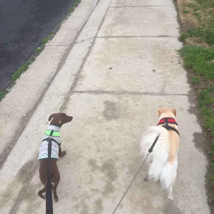 NWR: How could you even consider it?