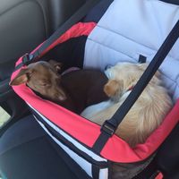 Today is National Pet Day! Let's see those fur babies :)