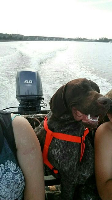 Show me your fur babies!