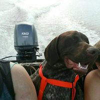 Show me your fur babies!