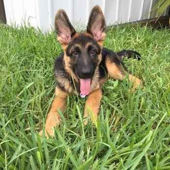 Thinking about demoting my Maid of Honor...HELP!!!