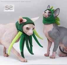 Dress One for appreciation dinner