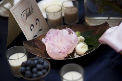 Lovely Pink and Navy Wedding!!!