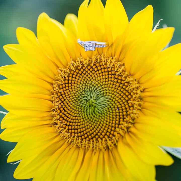 Engagement picture excitement