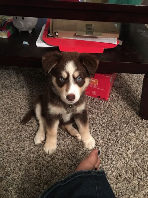 NWR: Show me your pups!