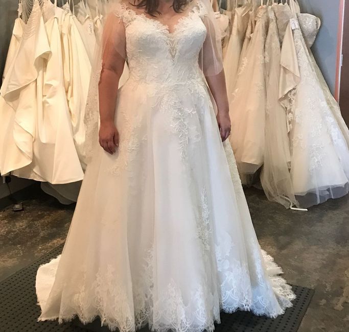 Plus size brides 1