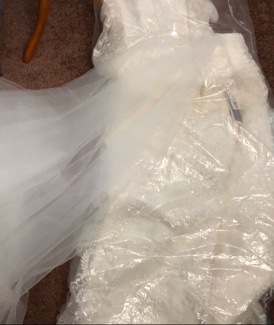 Help!! Does my veil and dress color match?? 1