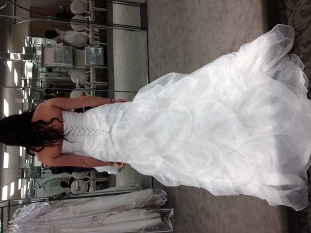 I got my dress!!!!!  (pics)