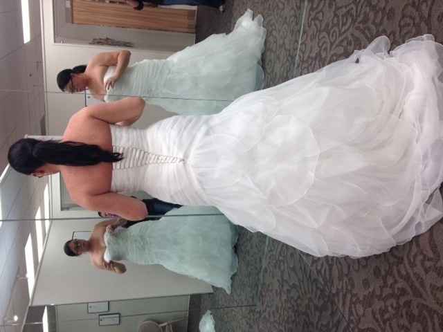 Final dress fitting and pick up! (pics)