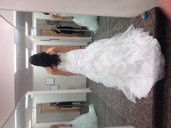 First dress fitting *pic