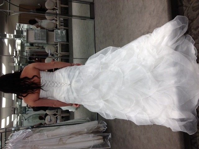 I got my dress!!!!!  (pics)