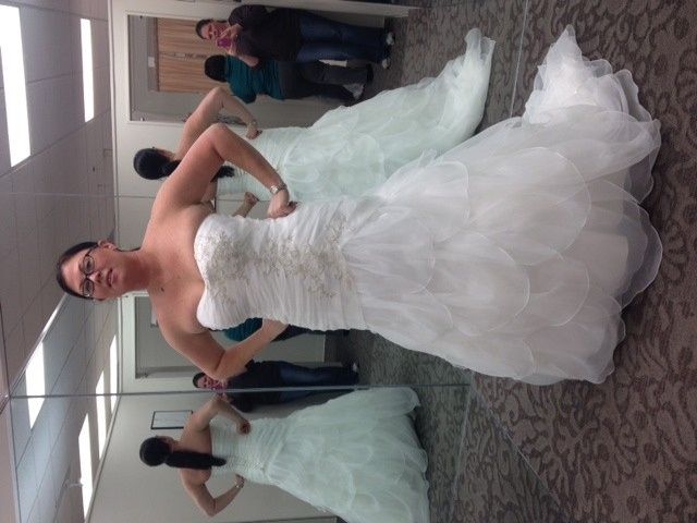 Final dress fitting and pick up! (pics)