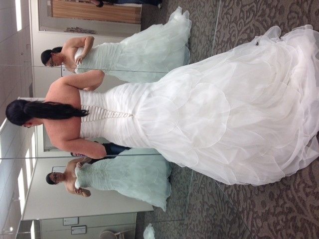 Final dress fitting and pick up! (pics)