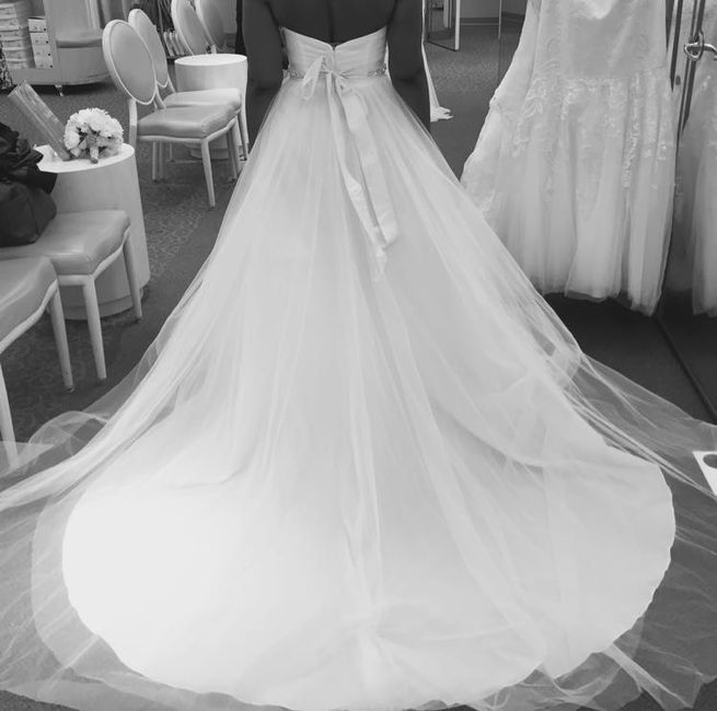 Petticoat or no ?