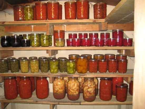 Read this and just died