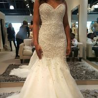 Let me see your dress.