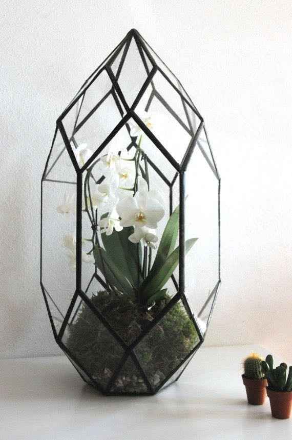 Terrariums as centerpieces?