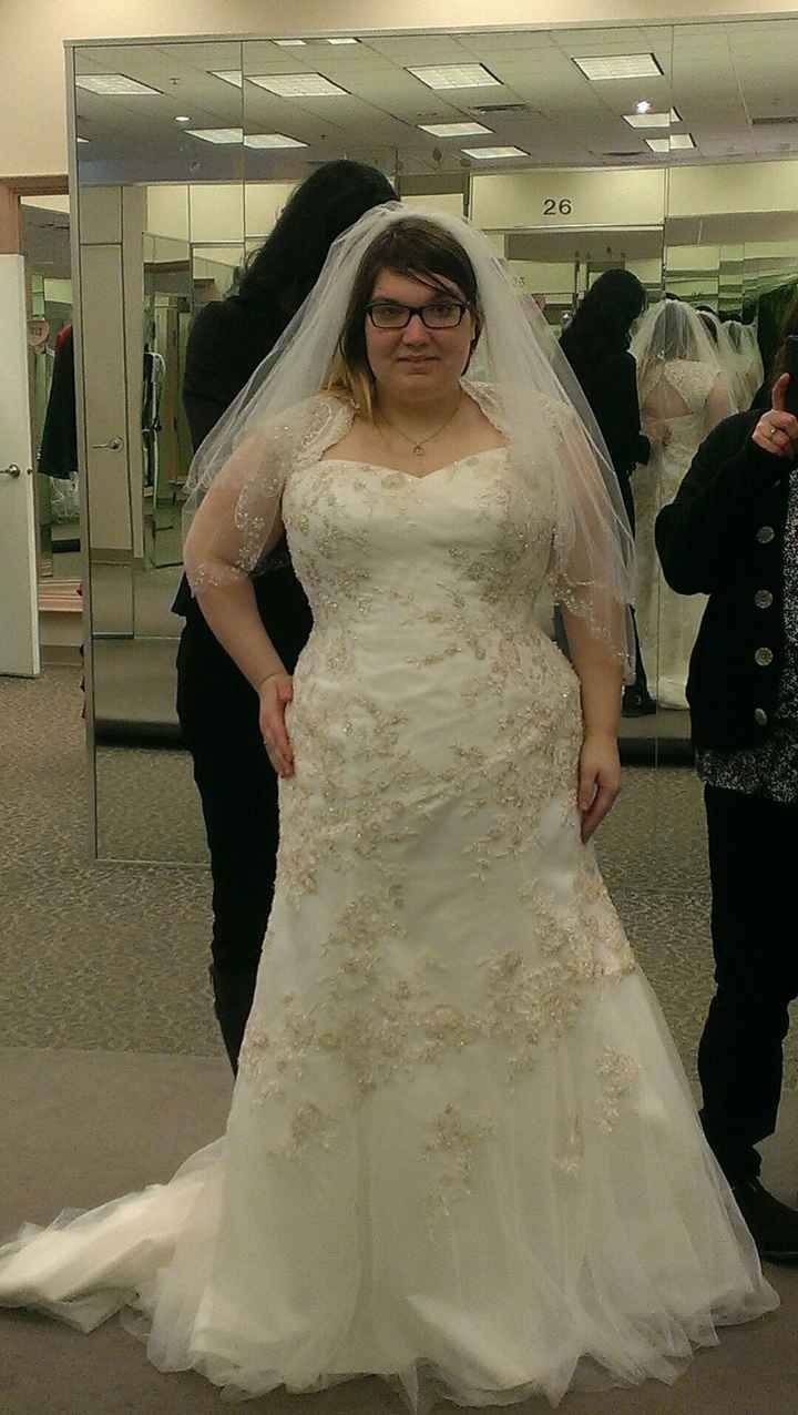 My dress came in 4 months early !