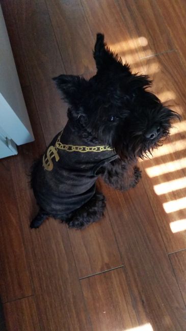 NWR: Show off your furbabies!