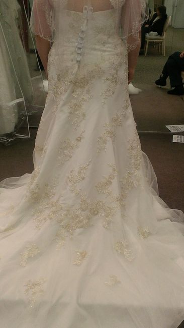 My dress came in 4 months early !