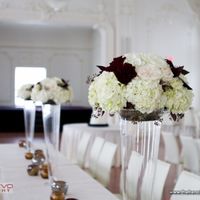 Starting our flowers tomorrow- need some help