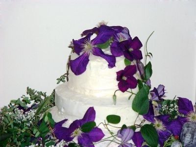 Cake?  Supermarket vs Chic Bakery?