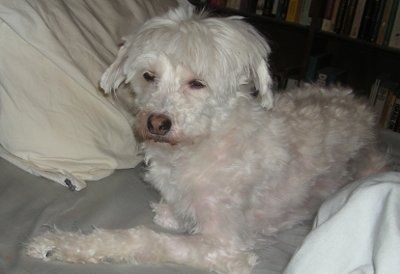 NWR - Furbabies :)