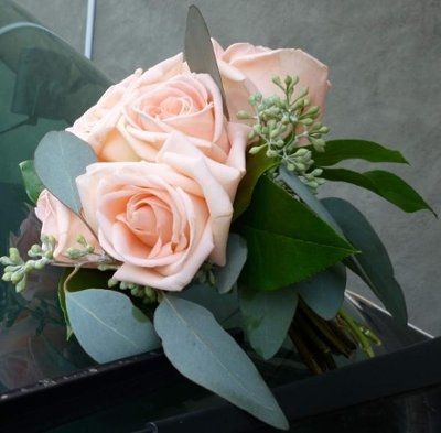 Want to see flowers!!!
