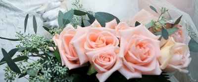 Show me your flowers! **Pics**