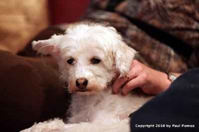 *NWR* Show me your pets/animals! *PICS*