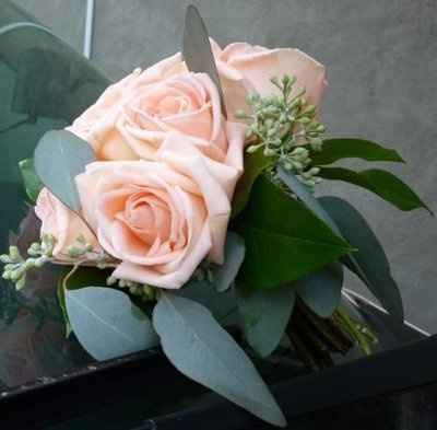 Want to see flowers!!!
