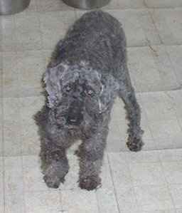 NWR - holy cow our puppy is a little terror!