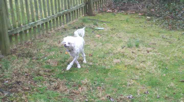 Show mee yourrr…..