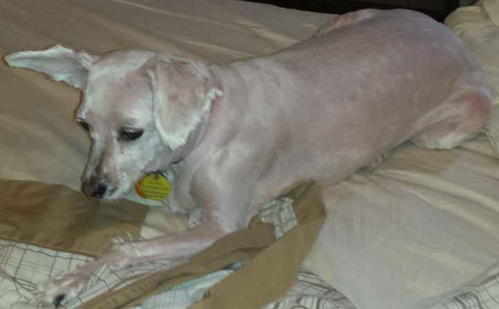 NWR - Furbaby Friday