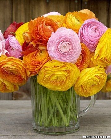 Best bang for your buck type of real flower?