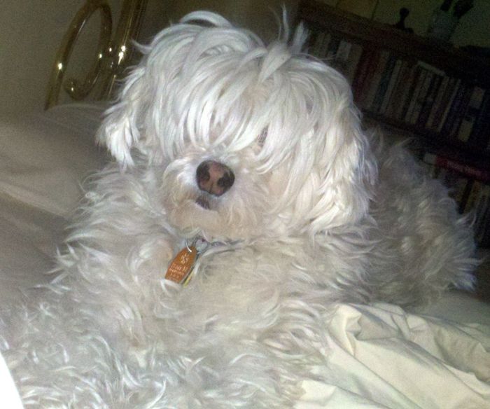 NWR - Furbaby Friday