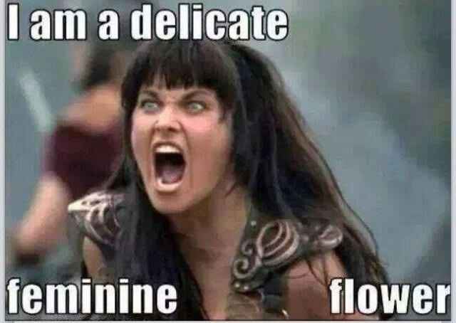 NWR:  What Memes Represent You?