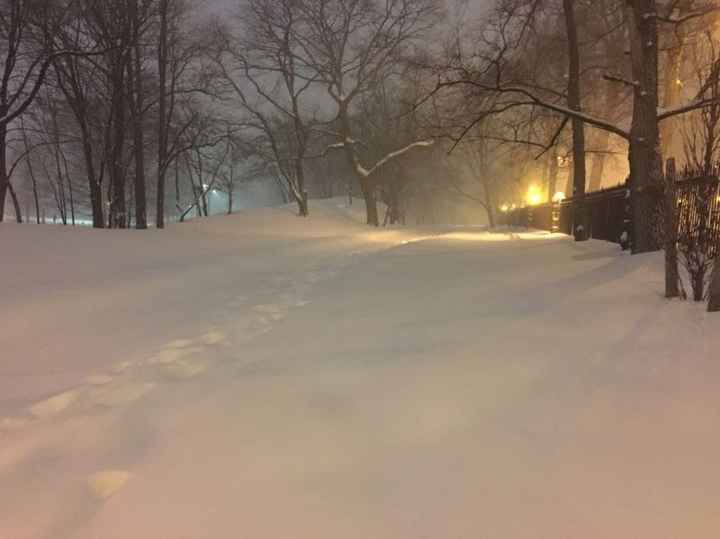 East Coast!! Show me your snow pictures!