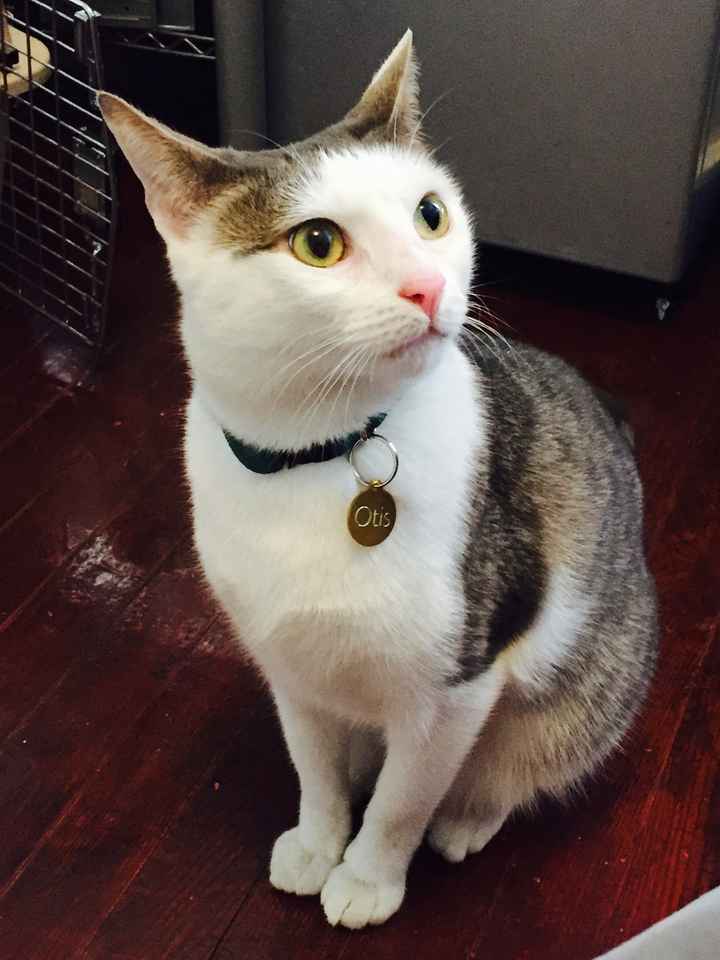 NWR: Meet our new furbaby!