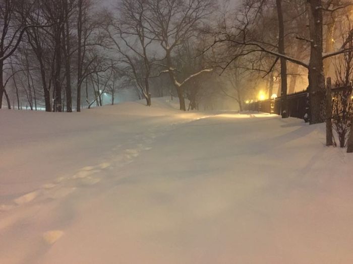 East Coast!! Show me your snow pictures!