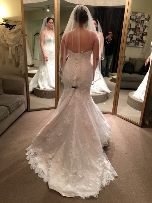Which dress would you choose?