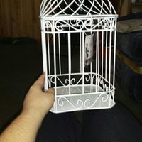 Thread of Random Questions