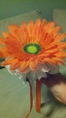 Pictures of my progress :)