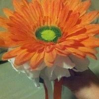 Pictures of my progress :)