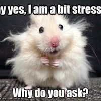 Spin off: meme to describe how you feel at this stage of planning