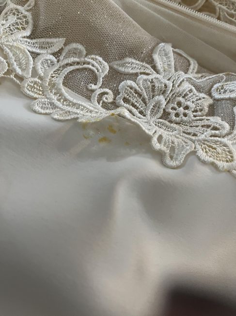 Galia Lahav Couture Wedding Dress Nightmare- Need some outside opinions - 2