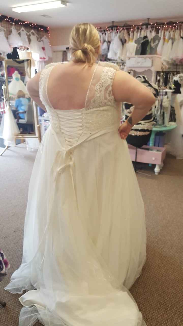 Wedding Dress Excitement - 1