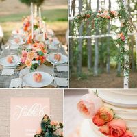 Family hates wedding colors... - 1