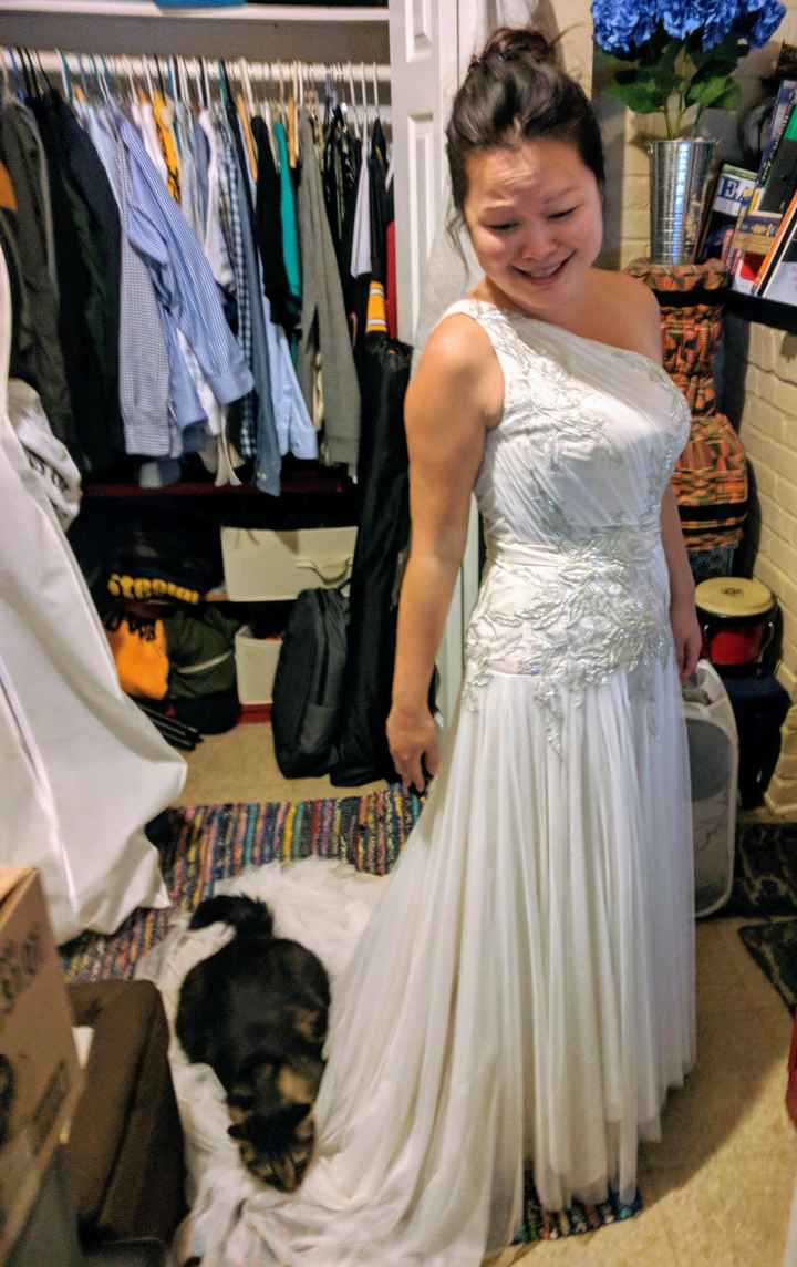 Wedding Gown Found at Goodwill!