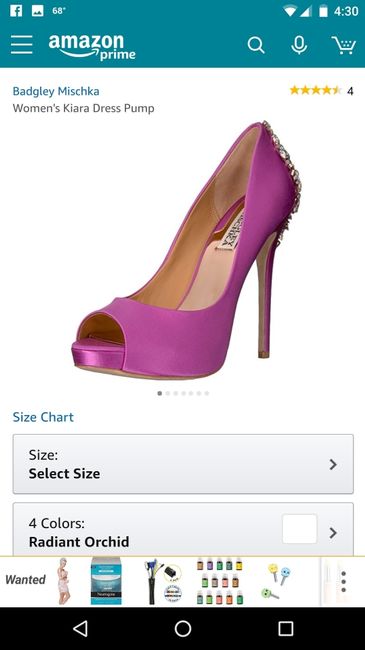 Bridal Shoes